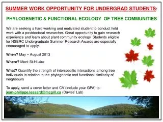 SUMMER WORK OPPORTUNITY FOR UNDERGRAD STUDENTS :