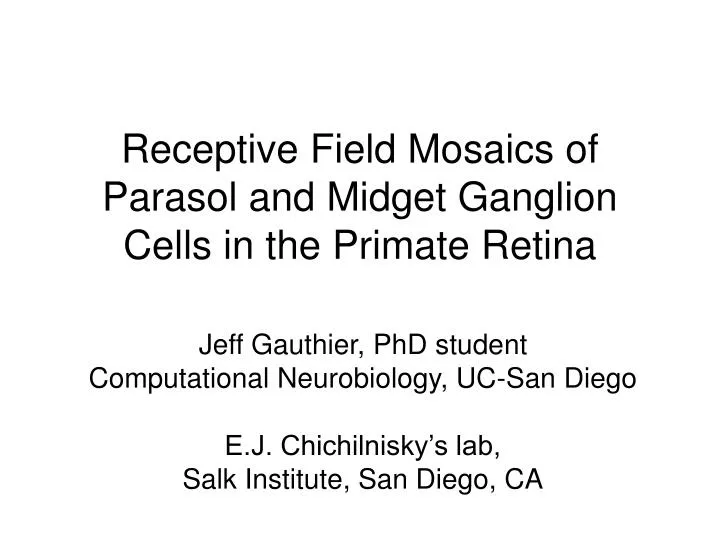 receptive field mosaics of parasol and midget ganglion cells in the primate retina