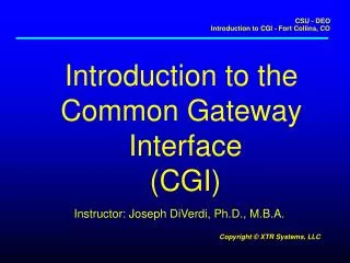 Introduction to the Common Gateway Interface (CGI)