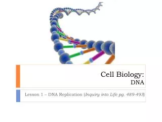 Cell Biology: DNA