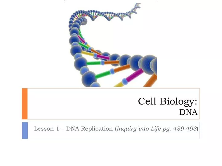 cell biology dna