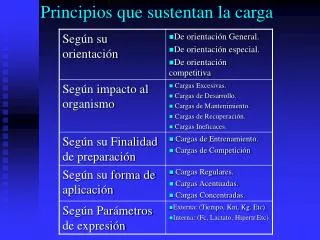 principios que sustentan la carga
