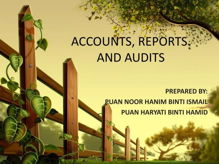 accounts reports and audits