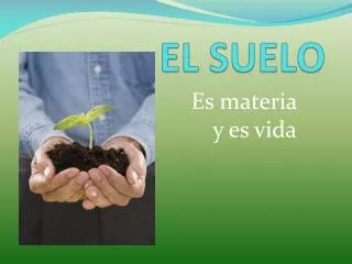 el suelo