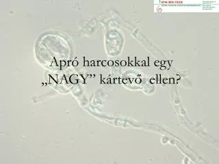 apr harcosokkal egy nagy k rtev ellen