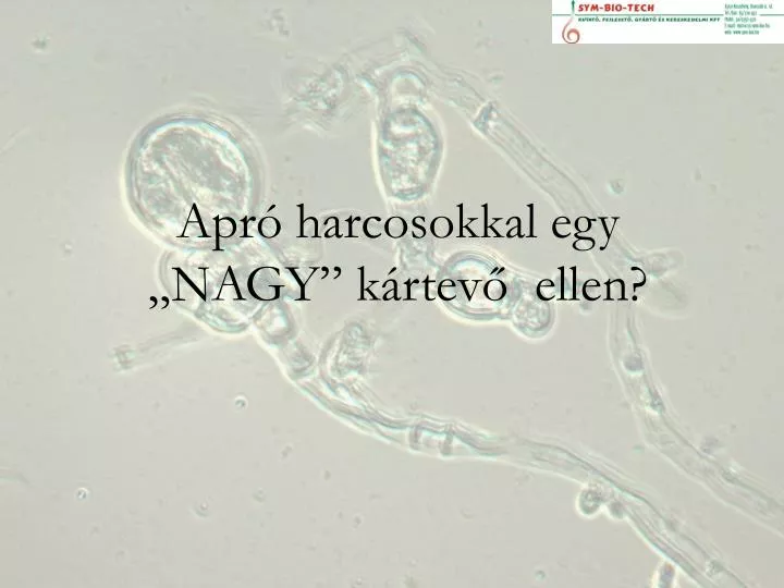 apr harcosokkal egy nagy k rtev ellen