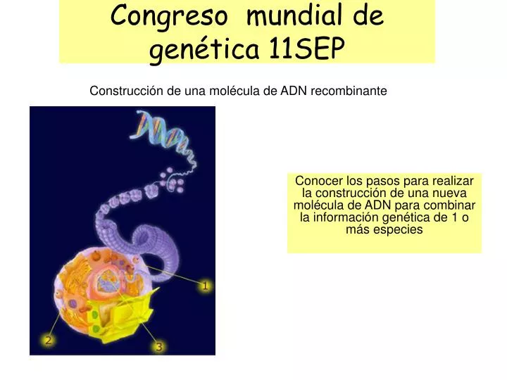 congreso mundial de gen tica 11sep