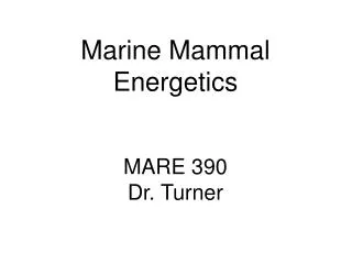 Marine Mammal Energetics MARE 390 Dr. Turner