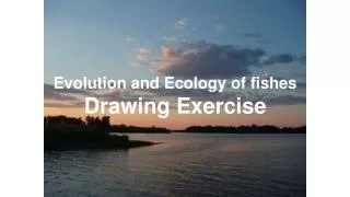 Evolution and Ecology of fishes Drawing Exercise