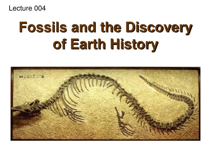 fossils and the discovery of earth history