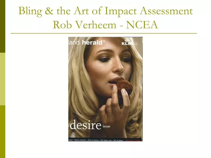 bling the art of impact assessment rob verheem ncea