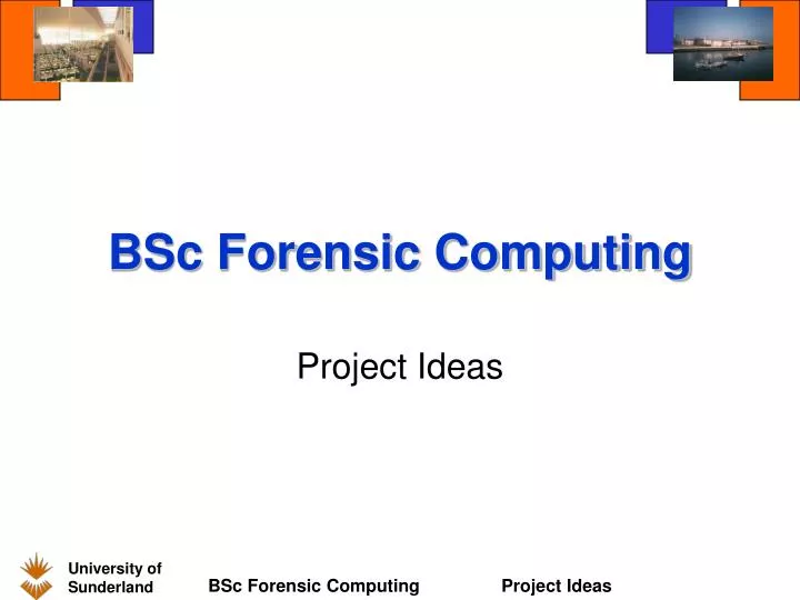 bsc forensic computing