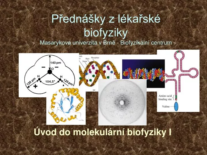 p edn ky z l ka sk biofyziky masarykova univerzita v brn biofyzik ln centrum