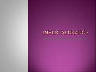 invertaebrados