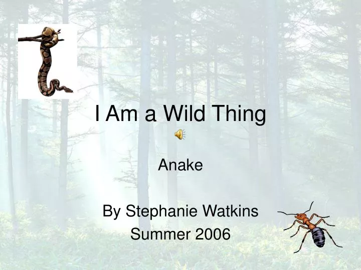 i am a wild thing