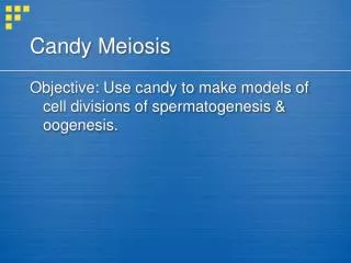 Candy Meiosis
