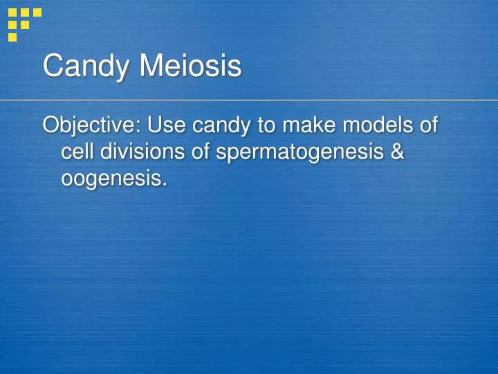 candy meiosis