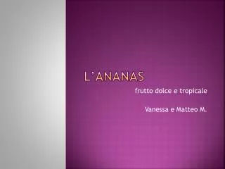 l ananas