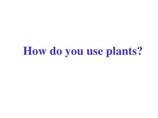 How do you use plants?