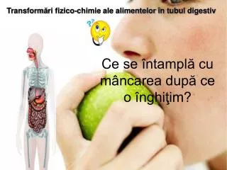 c e se ntampl cu m ncarea dup ce o nghi im