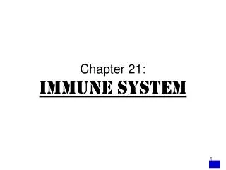 Chapter 21: Immune System