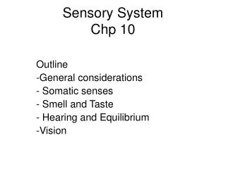 Sensory System Chp 10