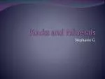 Understanding Rocks and Minerals: A Dive into Their Types, Uses, and Origins - slide 1