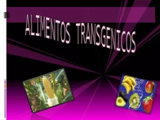 alimentos transgenicos