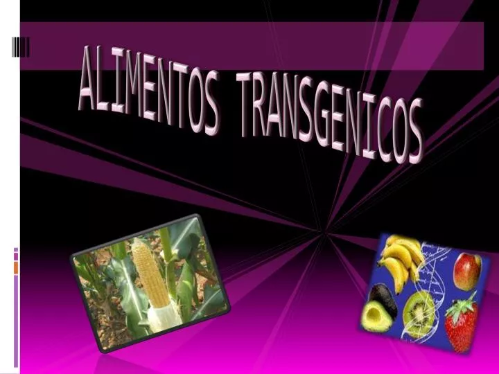 alimentos transgenicos