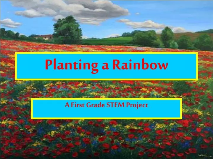 planting a rainbow