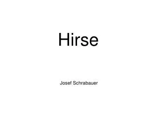 josef schrabauer