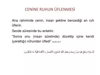 cen ne ruhun flenmes