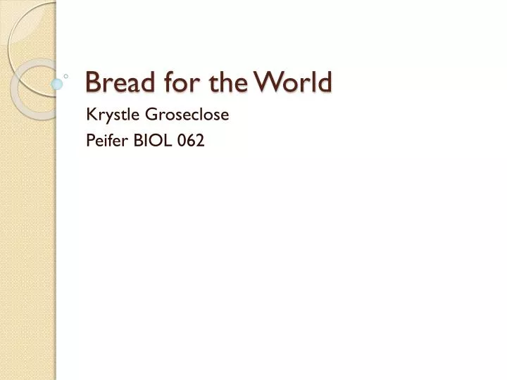 bread for the world