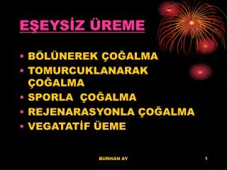 e eys z reme