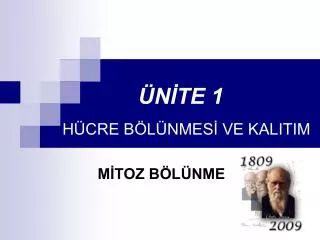 n te 1