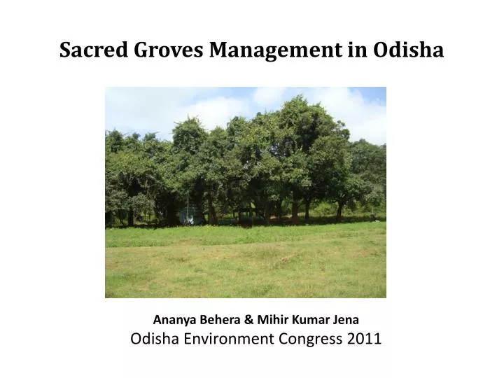 sacred groves management in odisha