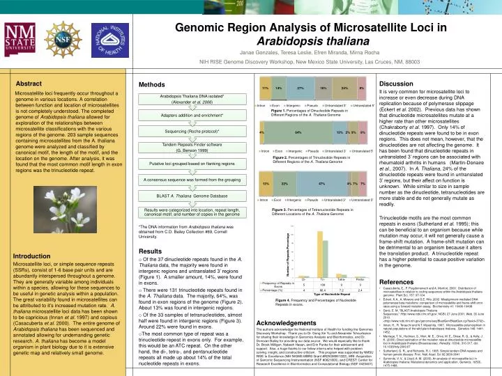 genomic region analysis of microsatellite loci in arabidopsis thaliana