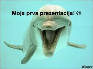 moja prva prezentacija