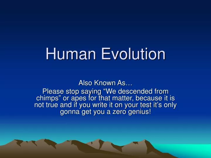 human evolution