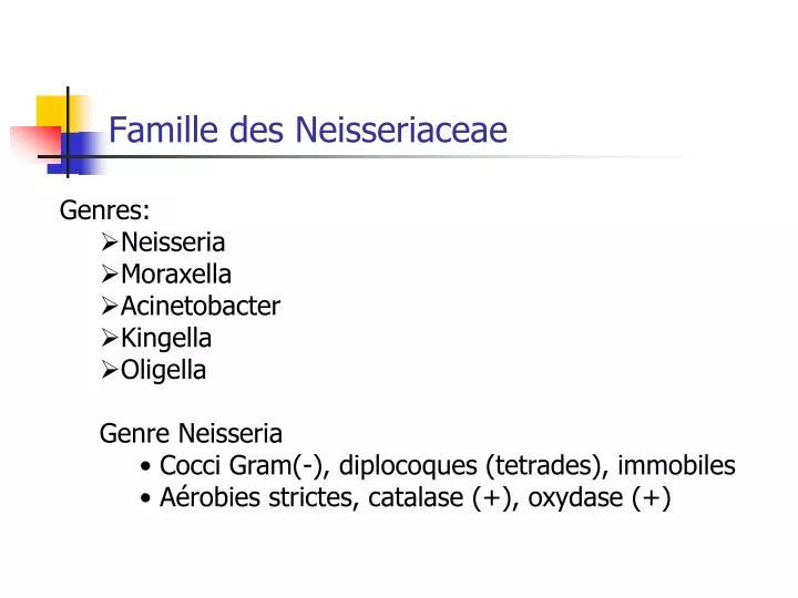 famille des neisseriaceae