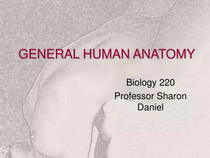 general human anatomy