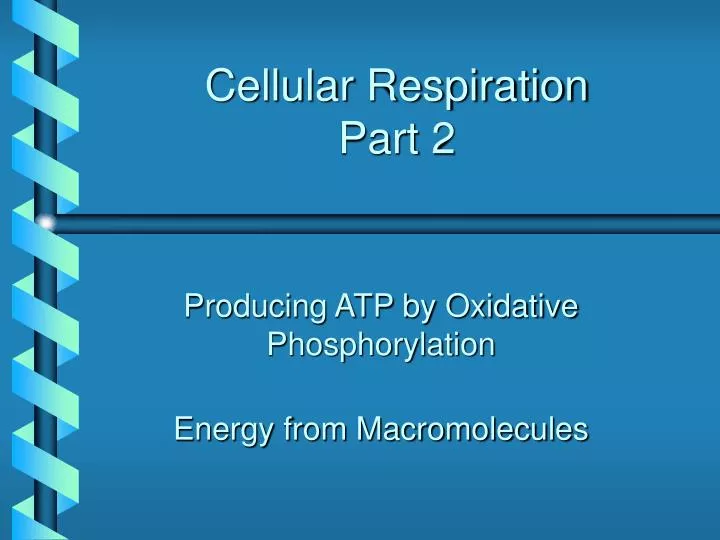 cellular respiration part 2