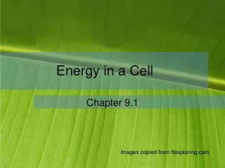 Energy in a Cell