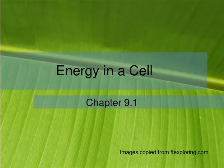energy in a cell