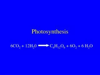 Photosynthesis