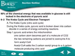 Section Outline