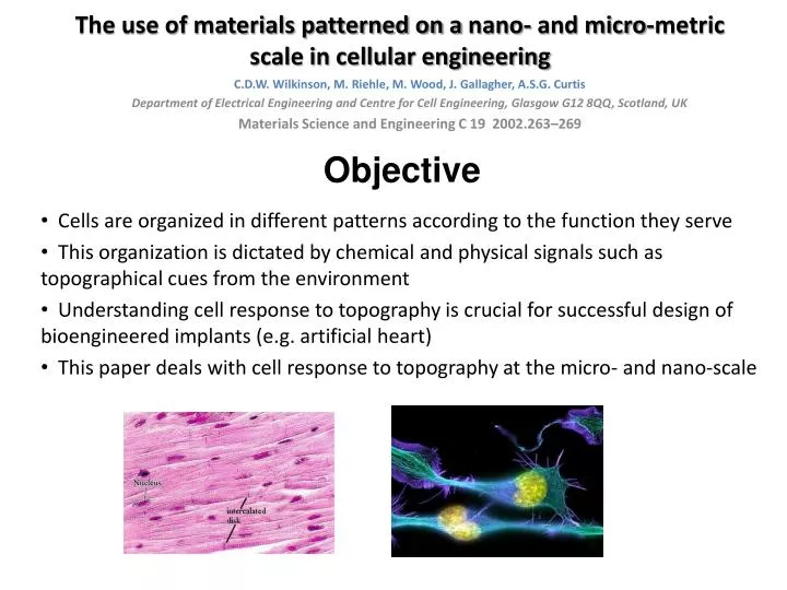 the use of materials patterned on a nano and micro metric scale in cellular engineering
