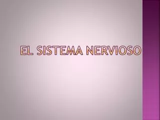 el sistema nervioso