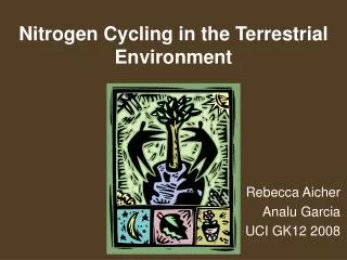 Nitrogen Cycling in the Terrestrial Environment
