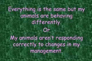 Everything is the same but my animals are behaving differently. Or